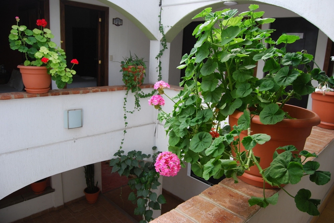 Imagen de los interiores del Hotel Jardines De Luz. Foto 16