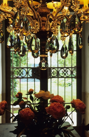 Imagen de los interiores del Hotel Jardins Secrets. Foto 14