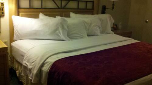 Imagen de la habitación del Hotel Jasmine Garden Inn. Foto 3
