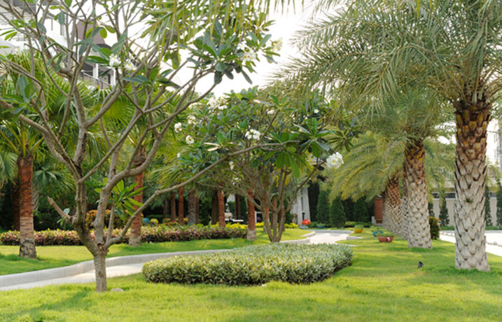 Imagen de la habitación del Hotel Jasmine Resort and Serviced Apartment. Foto 9