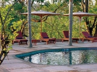 Imagen de la piscina del Hotel Jatinga Country Lodge. Foto 2
