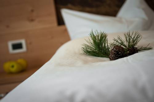 Imagen de la habitación del Hotel Jägerhof, Surarù. Foto 6