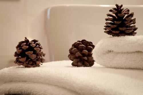 Imagen de la habitación del Hotel Jägerhof, Surarù. Foto 10