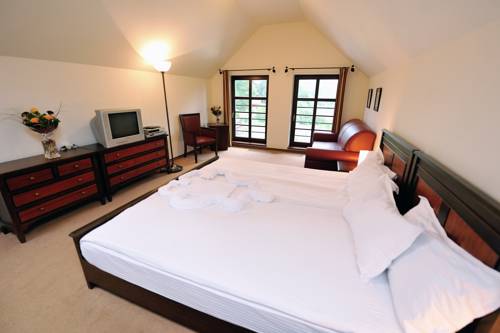 Imagen de la habitación del Hotel Javor. Foto 6