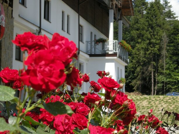 Imagen general del Hotel Jaworzyna Krynicka. Foto 9