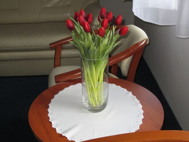 Imagen general del Hotel Jaworzyna Krynicka. Foto 10