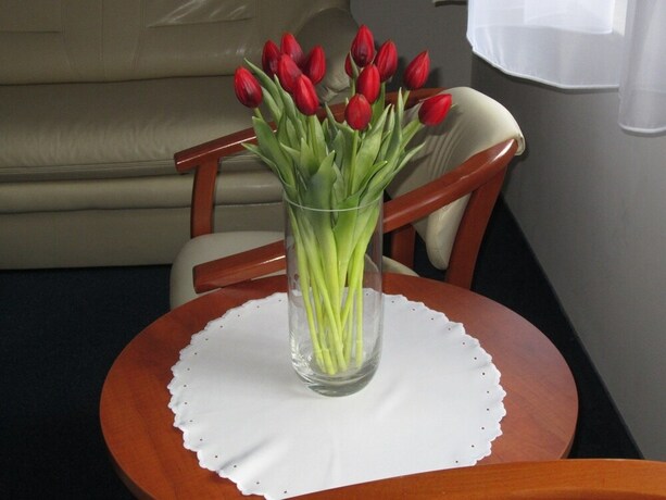 Imagen de la habitación del Hotel Jaworzyna Krynicka. Foto 25