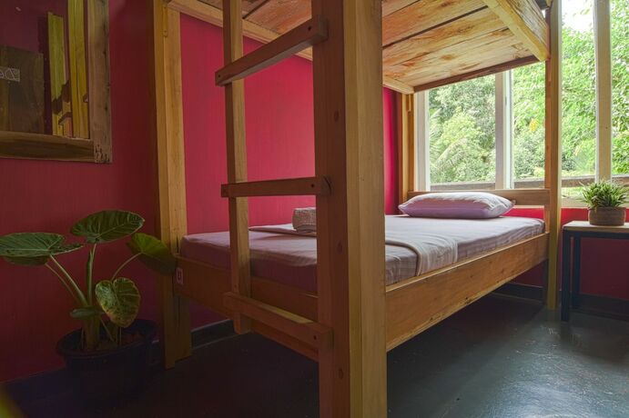 Imagen de la habitación del Hotel Jay\'s Bunks-Kandy Hostel - Adults Only. Foto 14