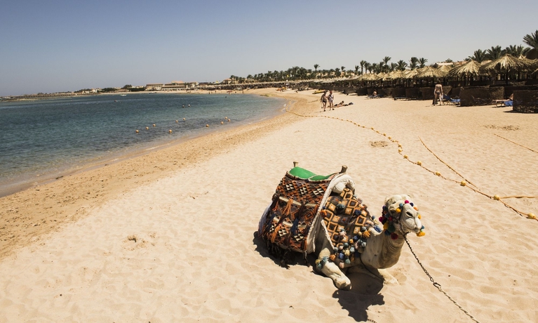 Imagen de los exteriores del Hotel Jaz Makadina - All Inclusive. Foto 12