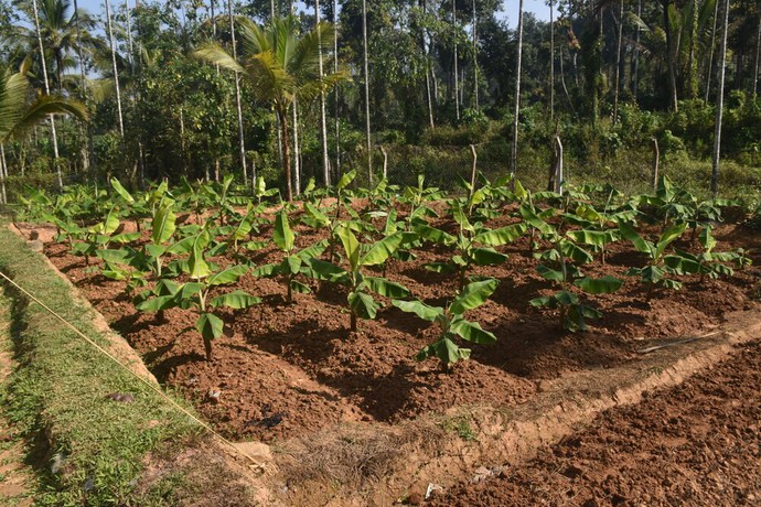 Imagen general del Hotel Jeevess Ayurveda. Foto 5