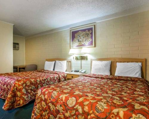 Imagen de la habitación del Hotel Jefferson Inn. Foto 5