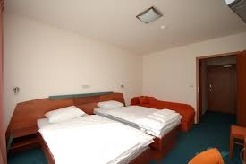 Imagen general del Hotel Jehla. Foto 5