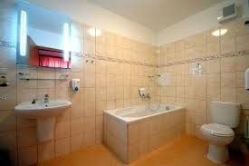 Imagen general del Hotel Jehla. Foto 6