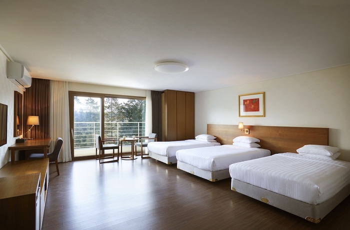 Imagen de la habitación del Hotel Jeju Aerospace. Foto 13