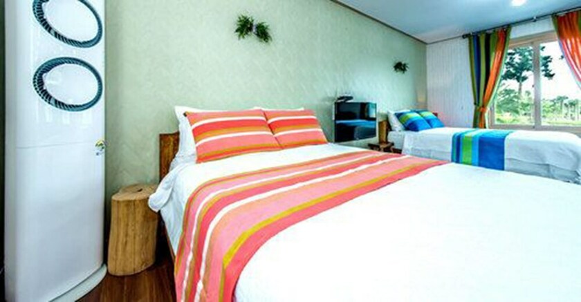Imagen de la habitación del Hotel Jeju Green Pampas. Foto 25