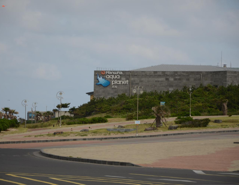 Imagen general del Hotel Jeju Stay In Sungsan. Foto 2