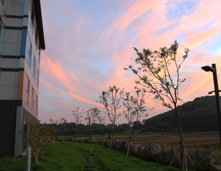 Imagen general del Hotel Jeju Stay In Sungsan. Foto 8