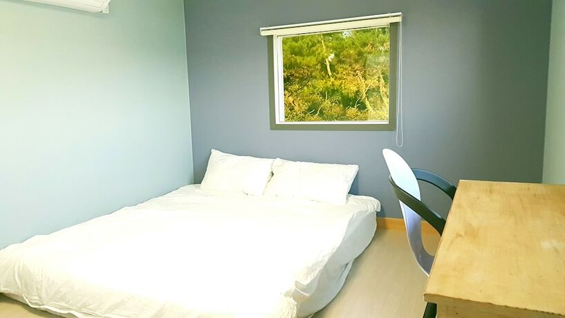 Imagen de la habitación del Hotel Jeju Witch's Hill. Foto 17