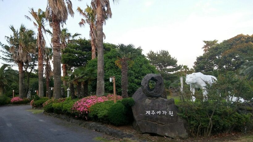 Imagen general del Hotel Jeju Yazawon. Foto 1