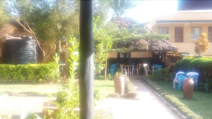 Imagen de los exteriores del Hotel Jeliza. Foto 19