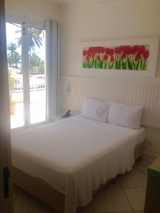 Imagen general del Hotel Jequitiba. Foto 11