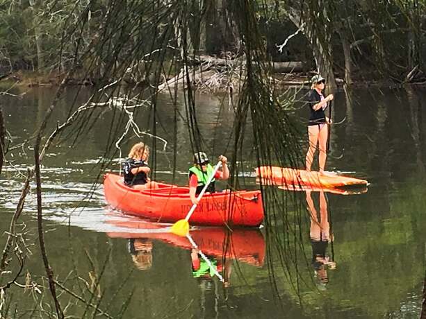 Imagen de los exteriores del Hotel Jervis Bay Cabins and Hidden Creek Campsite. Foto 28