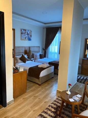 Imagen de la habitación del Hotel Jewel Zamalek. Foto 16