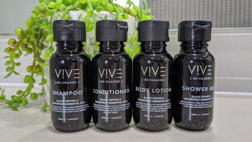 Imagen de la habitación del Hotel Jewel in the Crowne. Foto 12