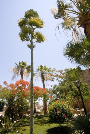 Imagen de los interiores del Hotel Jewels Sahara Boutique Resort. Foto 11