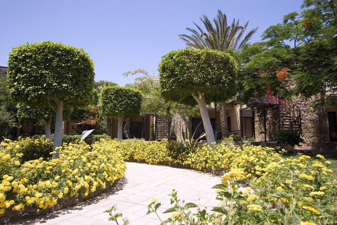 Imagen de los interiores del Hotel Jewels Sahara Boutique Resort. Foto 14