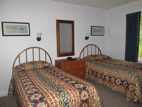 Imagen de la habitación del Hotel Jiminy Peak Mountain Resort. Foto 4