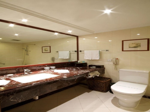 Imagen de la habitación del Hotel Jin Jiang Pine City. Foto 10