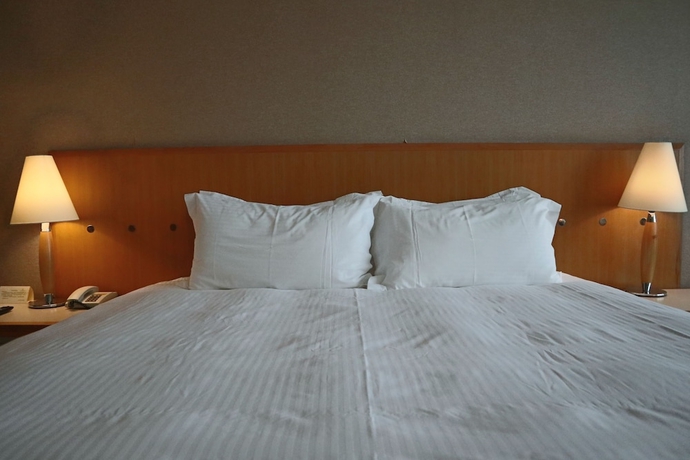 Imagen de la habitación del Hotel Jin Jiang Tian Cheng. Foto 12