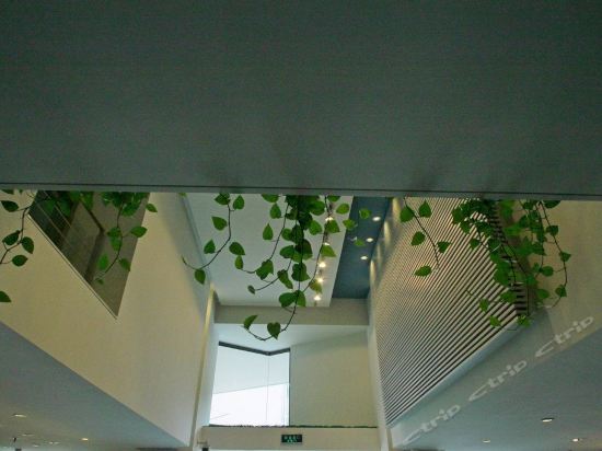 Imagen general del Hotel Jinjiang Inn East Shanghai New International Exhibition Ctr. Foto 2