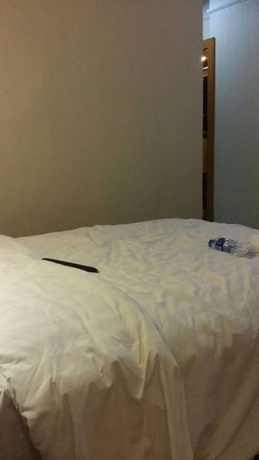 Imagen de la habitación del Hotel Jinke Hotel. Foto 5