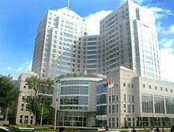 Imagen general del Hotel Jinma. Foto 1