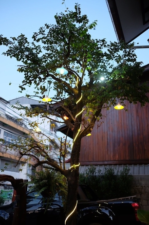 Imagen de la habitación del Hotel Jitra Resort. Foto 19