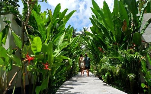 Imagen de la habitación del Hotel Jivana Resort. Foto 10