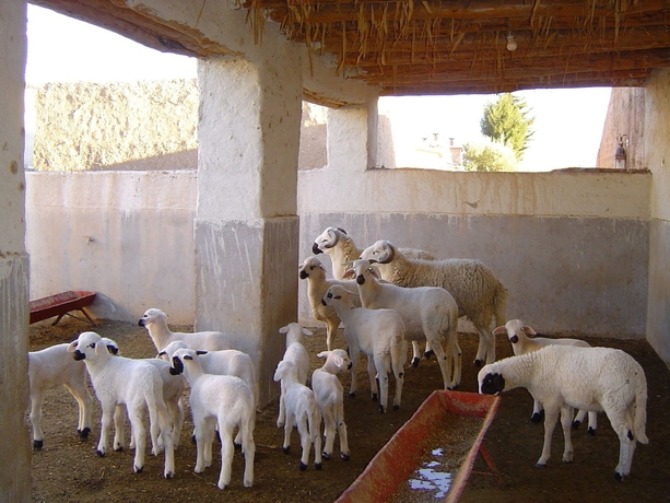 Imagen de los interiores del Hotel Jnane Tihihit. Foto 16