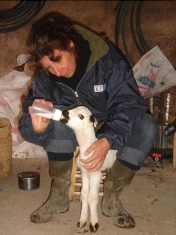 Imagen de los exteriores del Hotel Jnane Tihihit. Foto 13