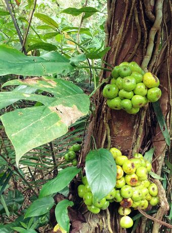 Imagen general del Hotel Joan Beach Resort. Foto 9