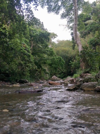 Imagen general del Hotel Joan Beach Resort. Foto 6