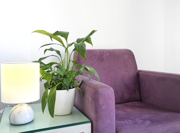 Imagen de la habitación del Hotel Joan. Foto 6