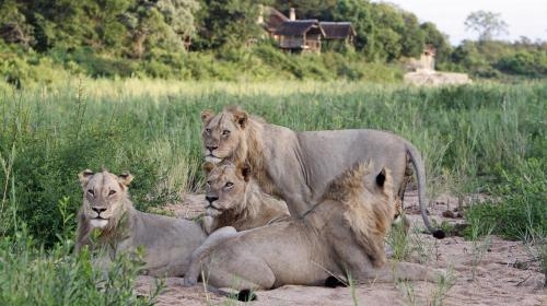 Imagen general del Hotel Jock Safari Lodge, Marloth Park. Foto 2