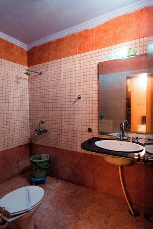 Imagen general del Hotel Jodhani Regency. Foto 1