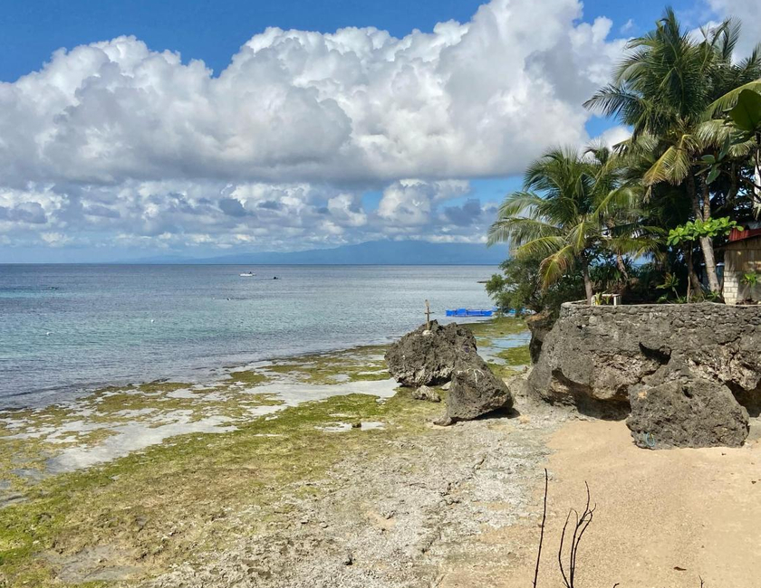 Imagen general del Hotel John Lhea Beach Cottages. Foto 5