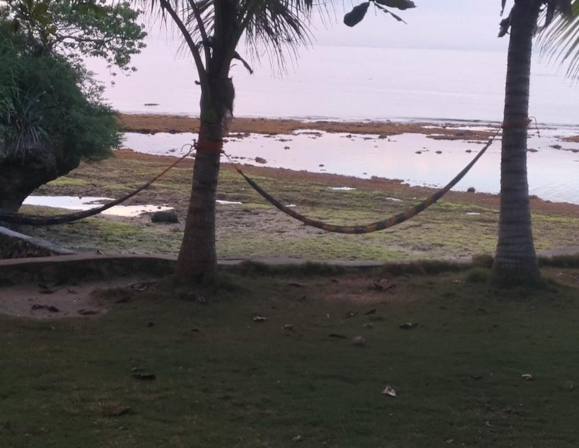 Imagen general del Hotel John Lhea Beach Cottages. Foto 22