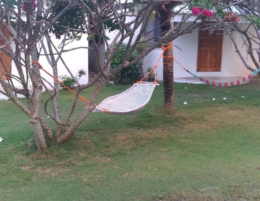 Imagen general del Hotel John Lhea Beach Cottages. Foto 25