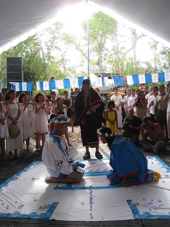 Imagen de los exteriores del Hotel Jolie Jungle Eco. Foto 9