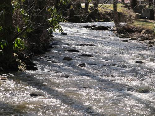 Imagen de la habitación del Hotel Jonathan Creek Inn and Villas. Foto 6